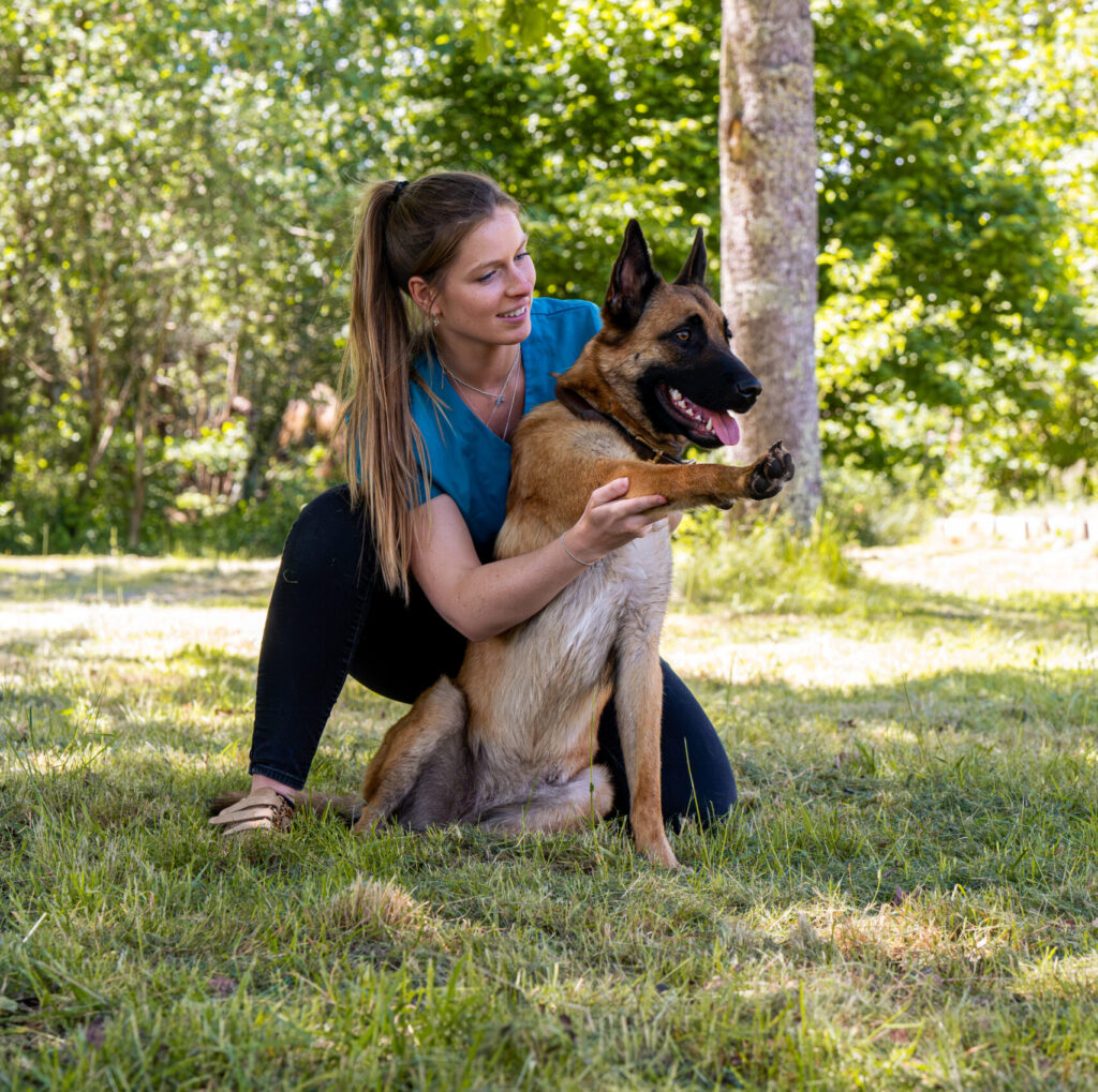 pratique sur malinois
