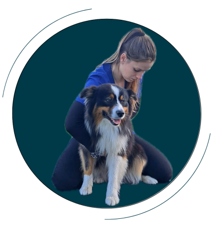 osteopathie animalière sur un chien osteopathie animalière sur un chien